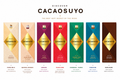Chocolat primé CACAOSUYO (Pérou)